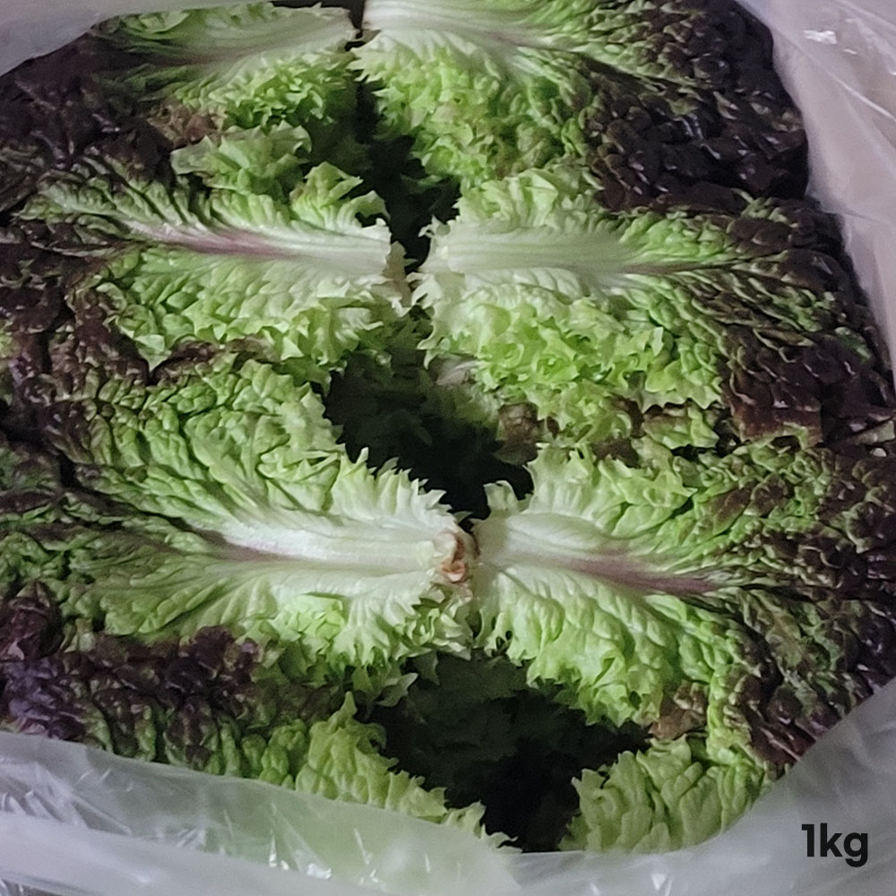 1776417879 thumbnail