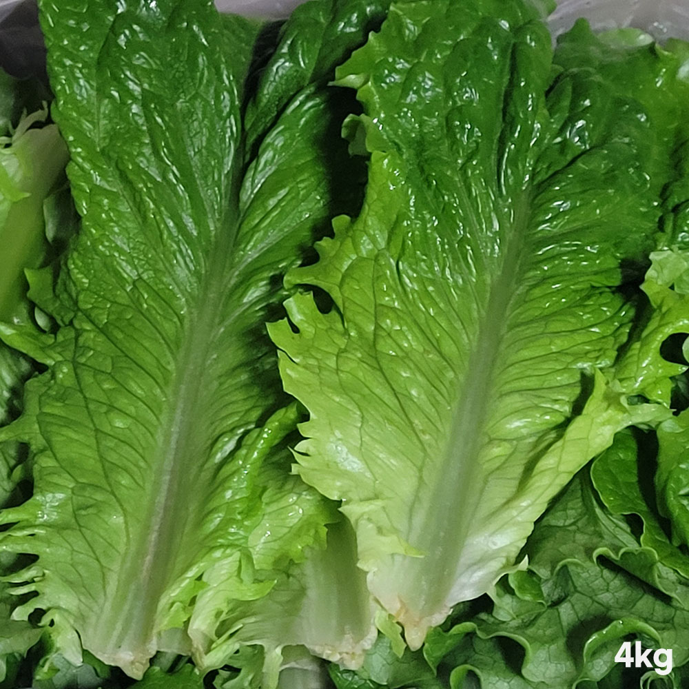 1776417889 thumbnail