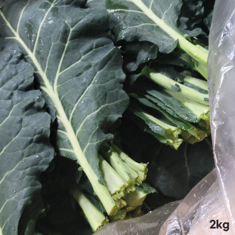 1776417891 thumbnail