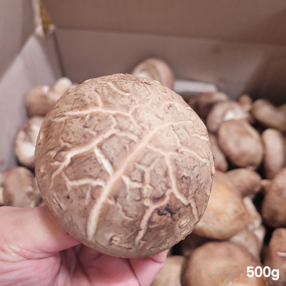 1776417892 thumbnail