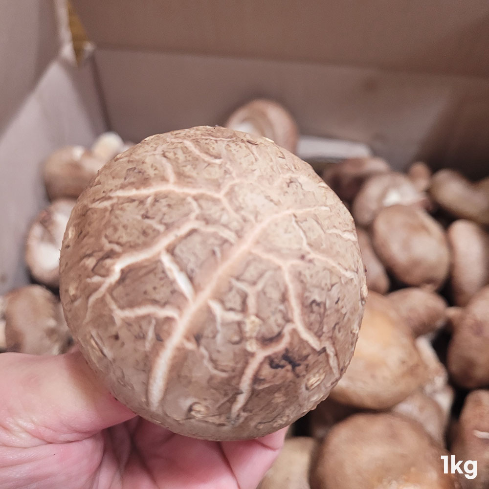 1776417893 thumbnail