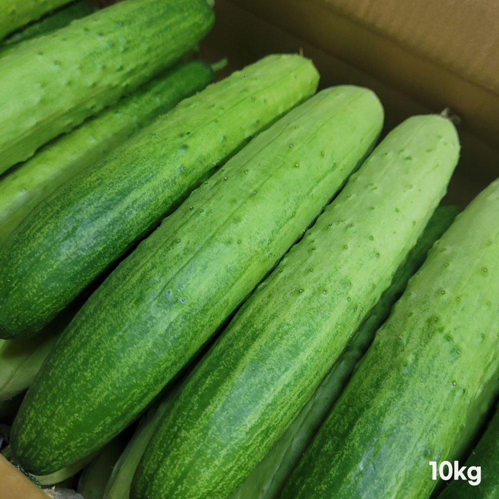 1776417895 thumbnail