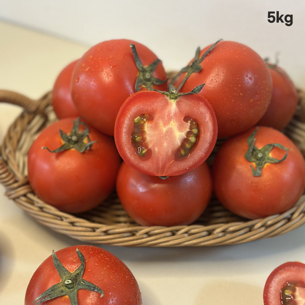 1776417897 thumbnail