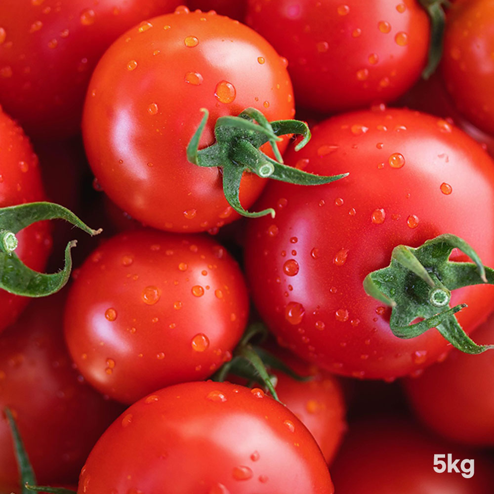 1776417901 thumbnail