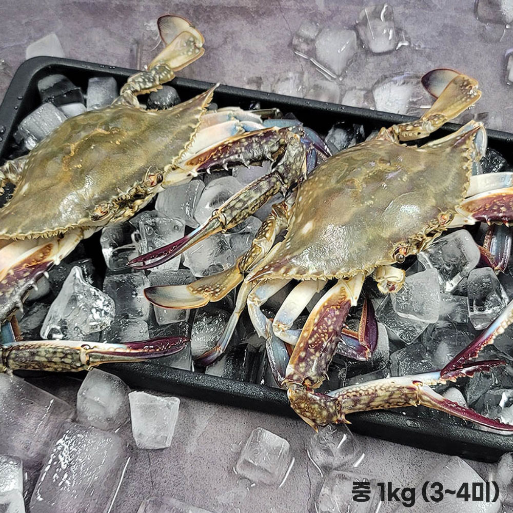 1776417904 thumbnail