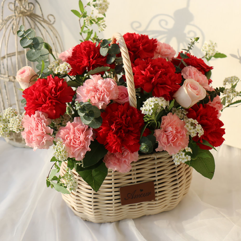 1776663376 thumbnail