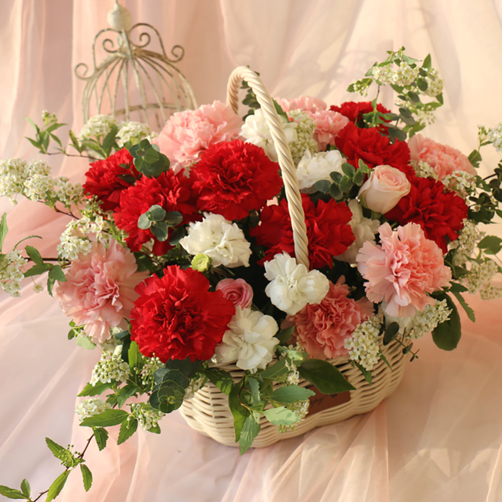 1776663377 thumbnail