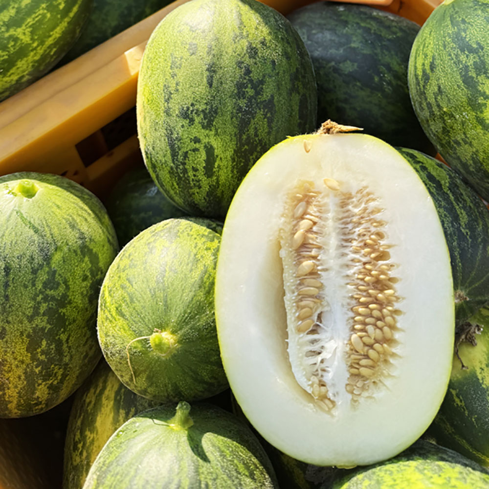 1776668728 thumbnail