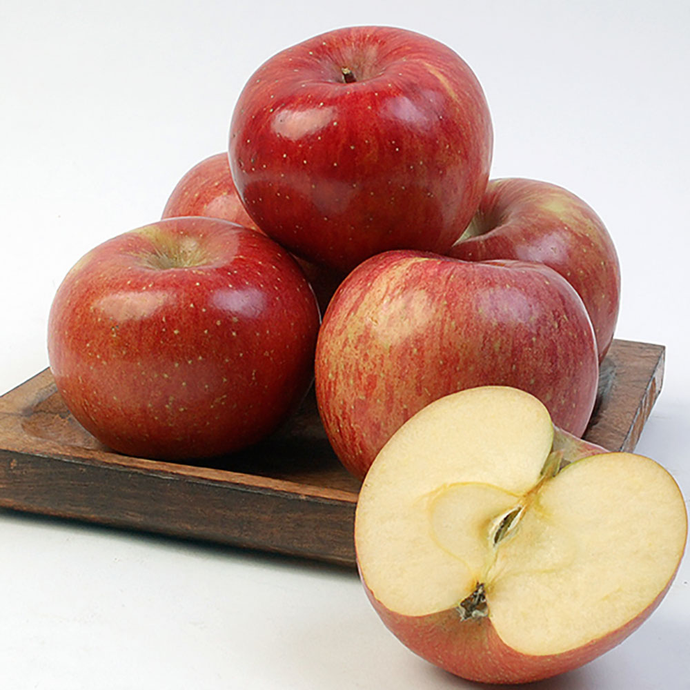 1776668738 thumbnail