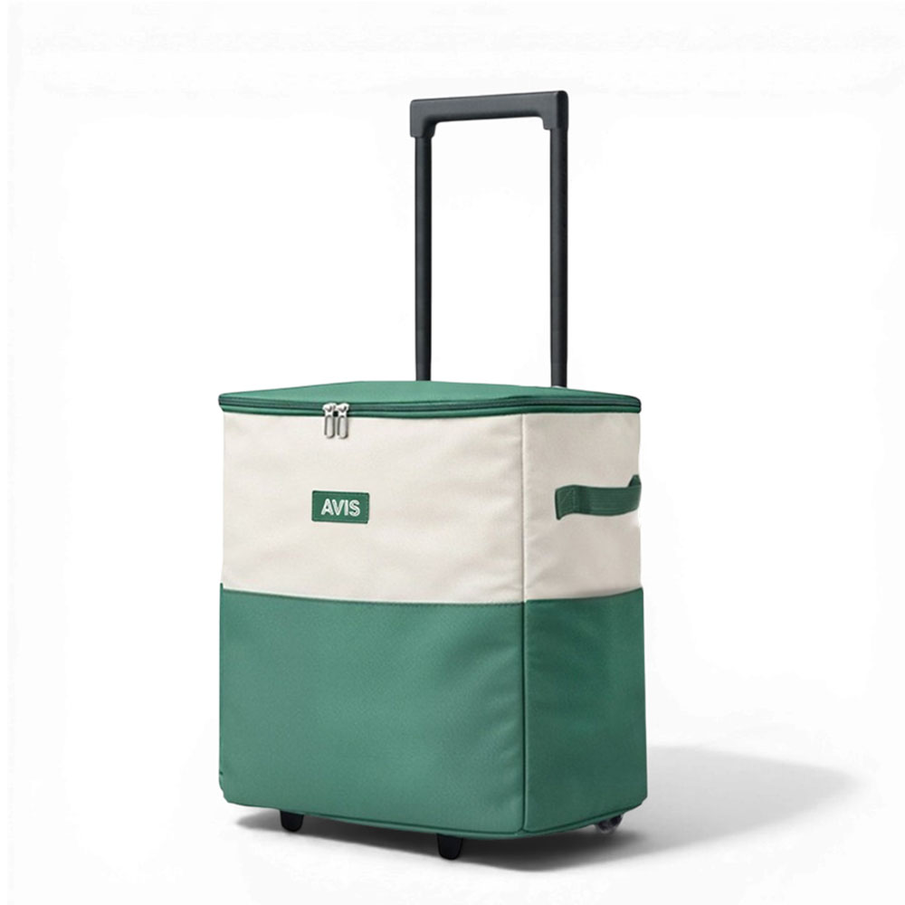 1776904335 thumbnail