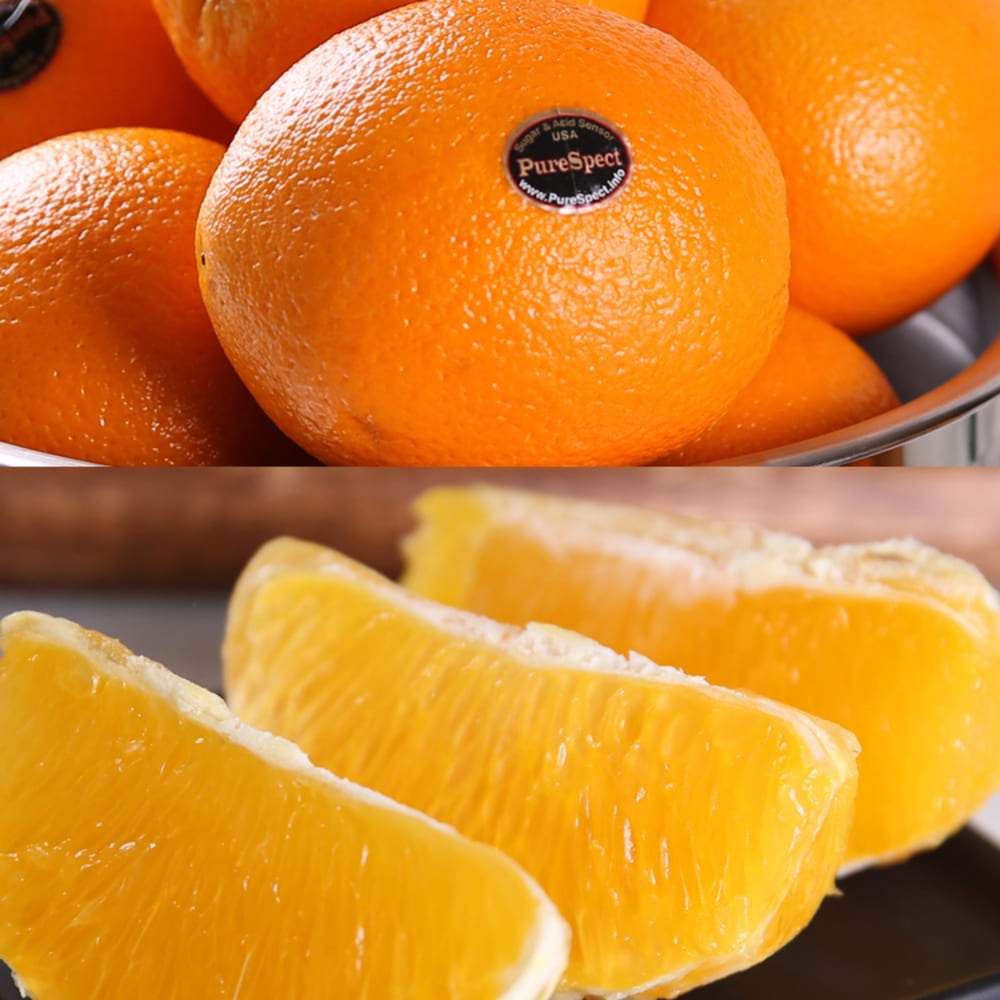 1776933039 thumbnail