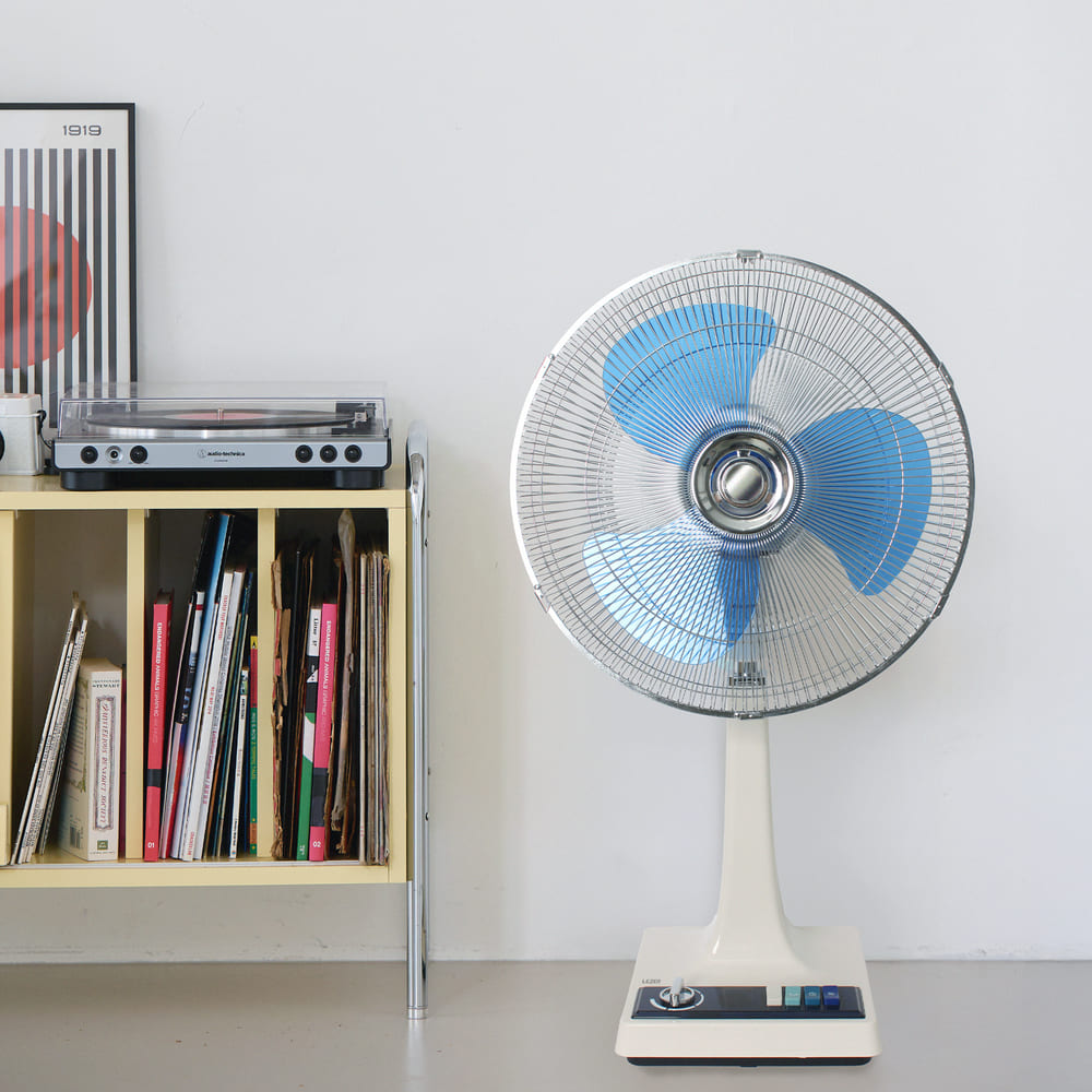 1776933045 thumbnail