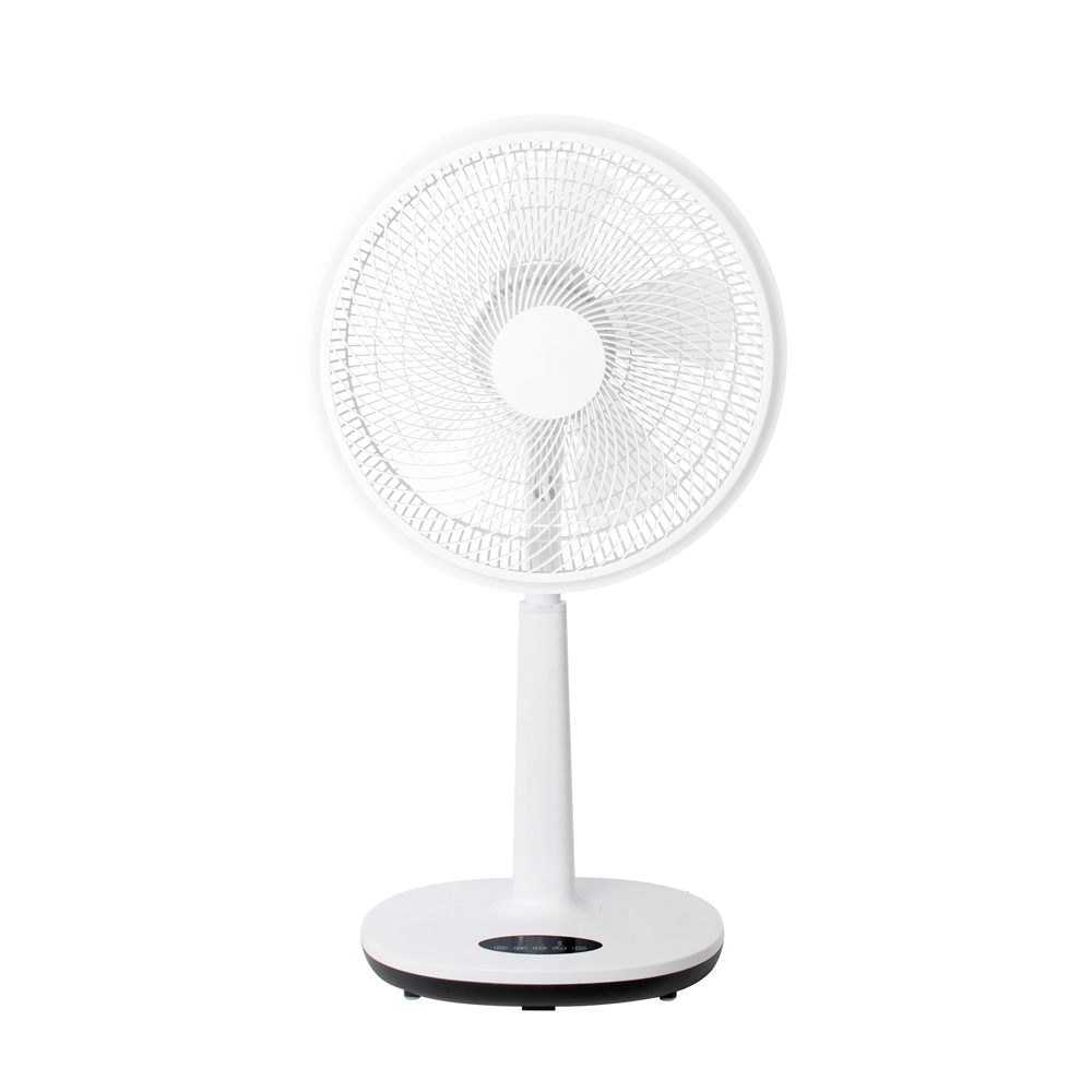 1776933047 thumbnail