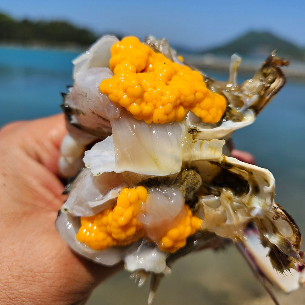 1776997434 thumbnail