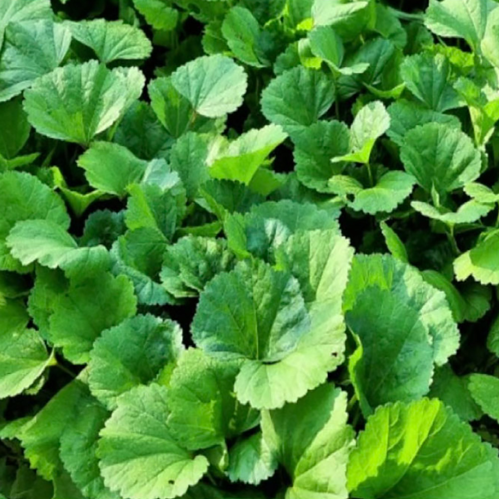 1776997445 thumbnail