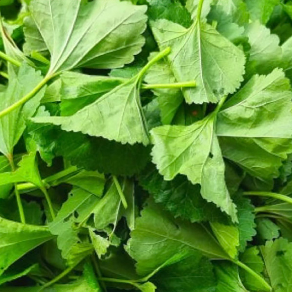 1776997446 thumbnail