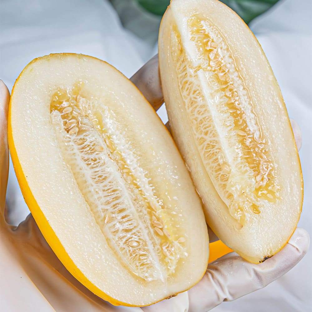 1777277267 thumbnail