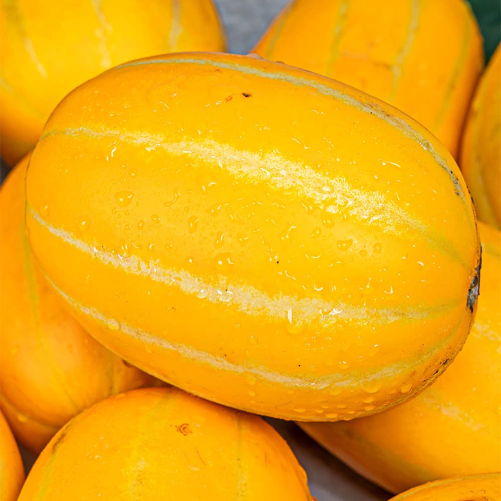 1777277268 thumbnail