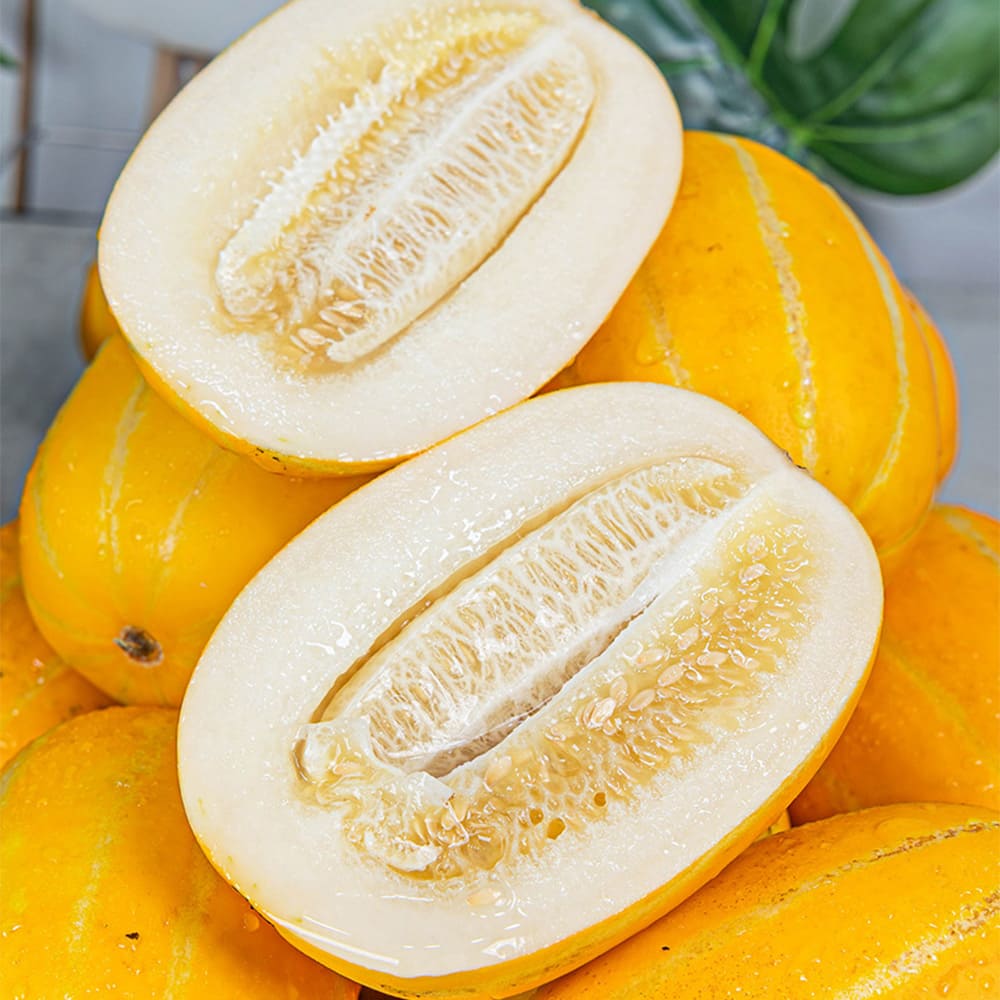 1777277275 thumbnail