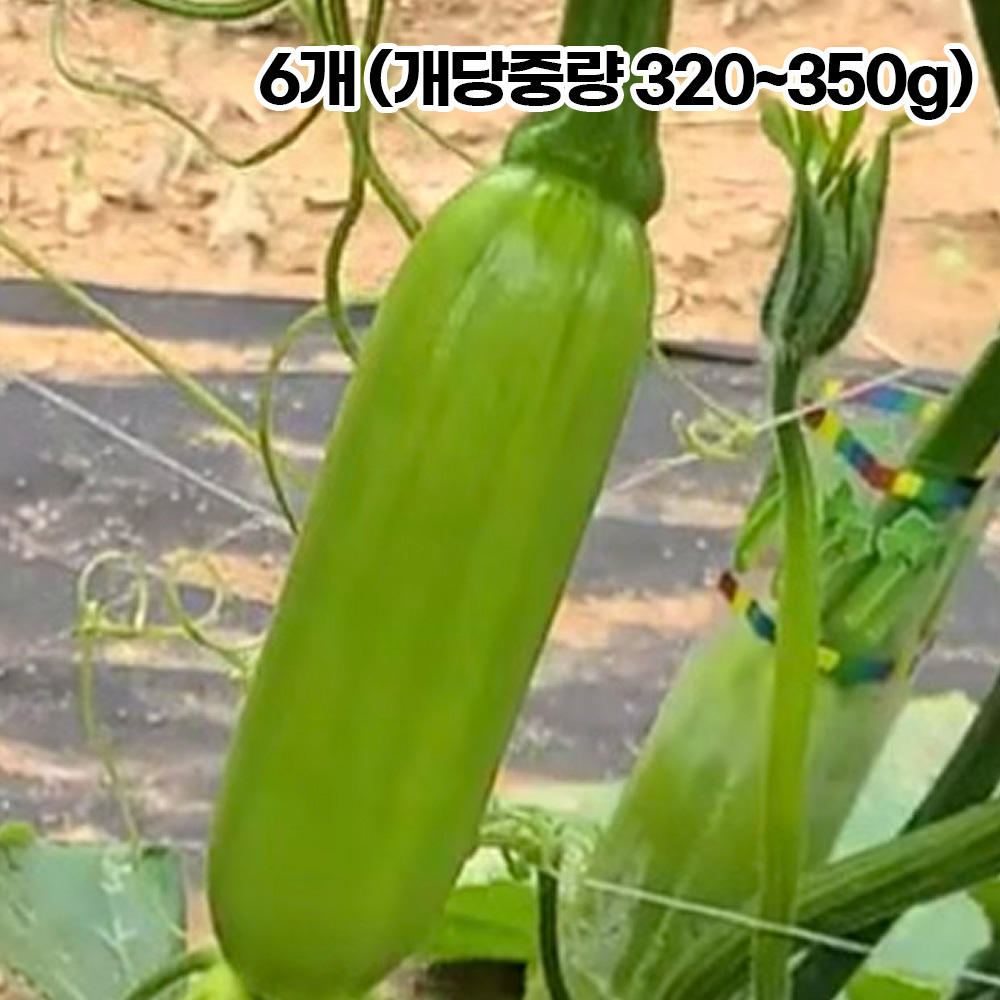 1778548771 thumbnail