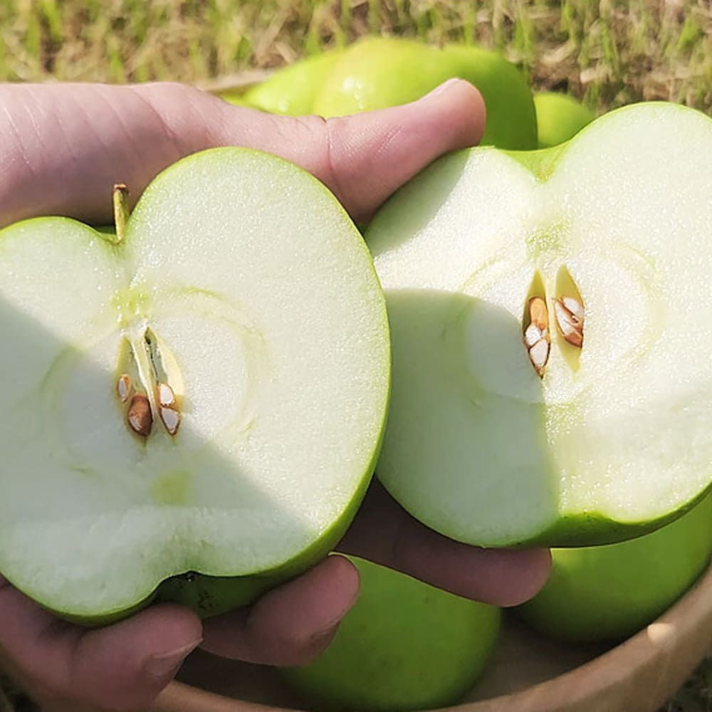 1784863505 thumbnail