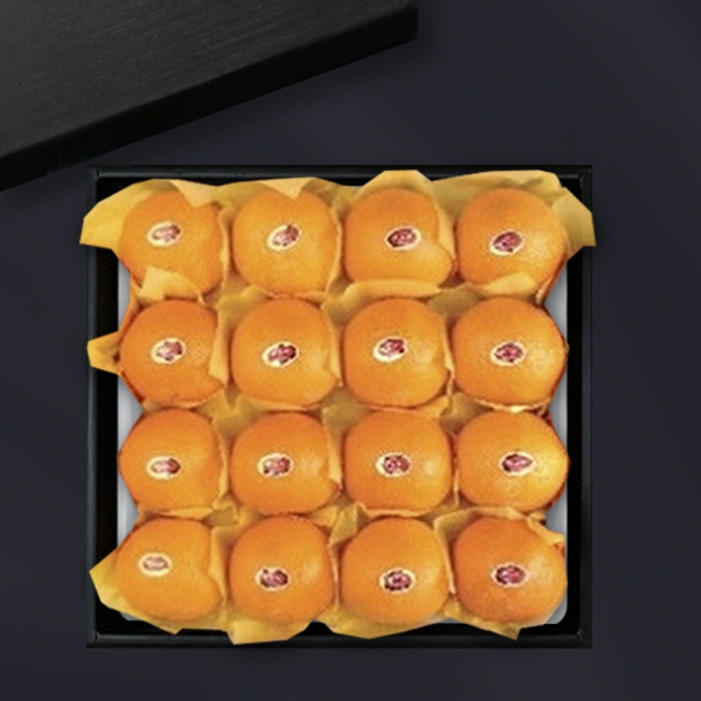 1787556153 thumbnail