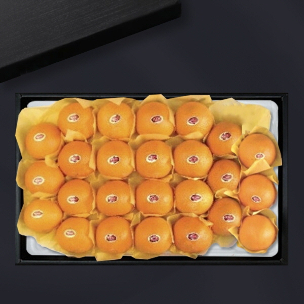 1787556155 thumbnail