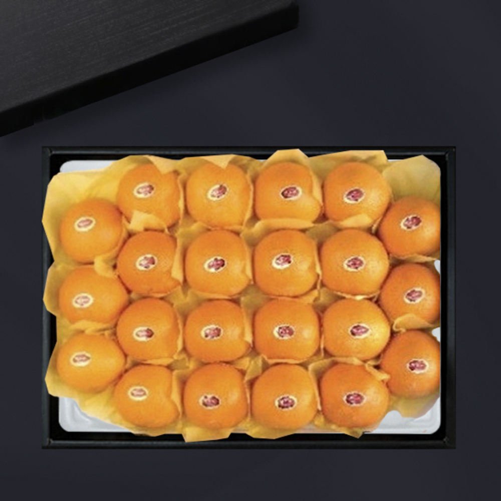 1787556157 thumbnail