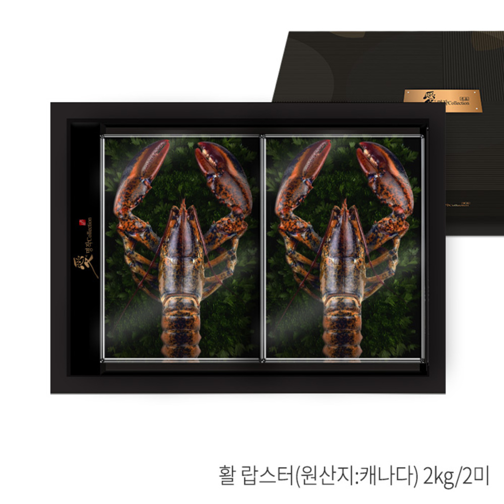 1787889019 thumbnail