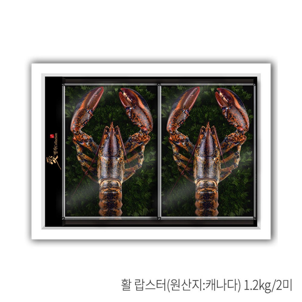 1787889021 thumbnail