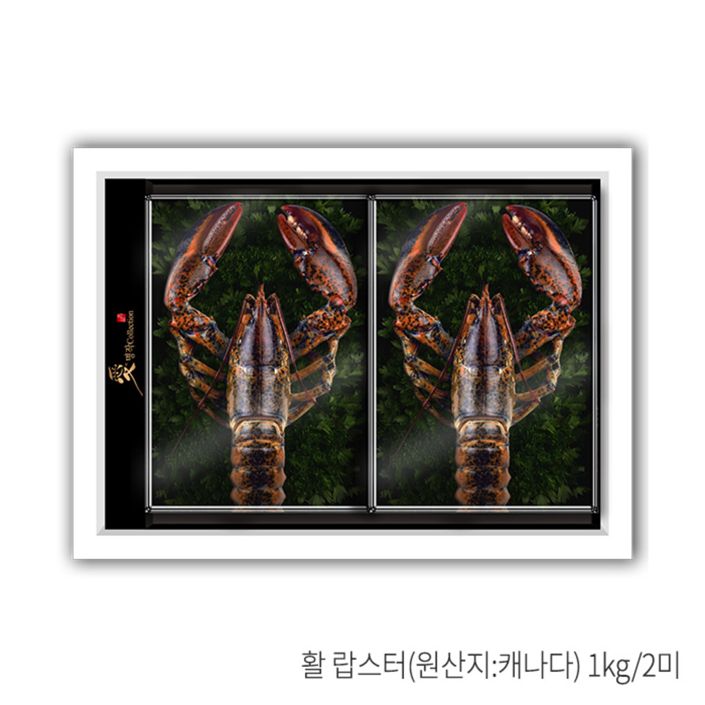 1787889022 thumbnail