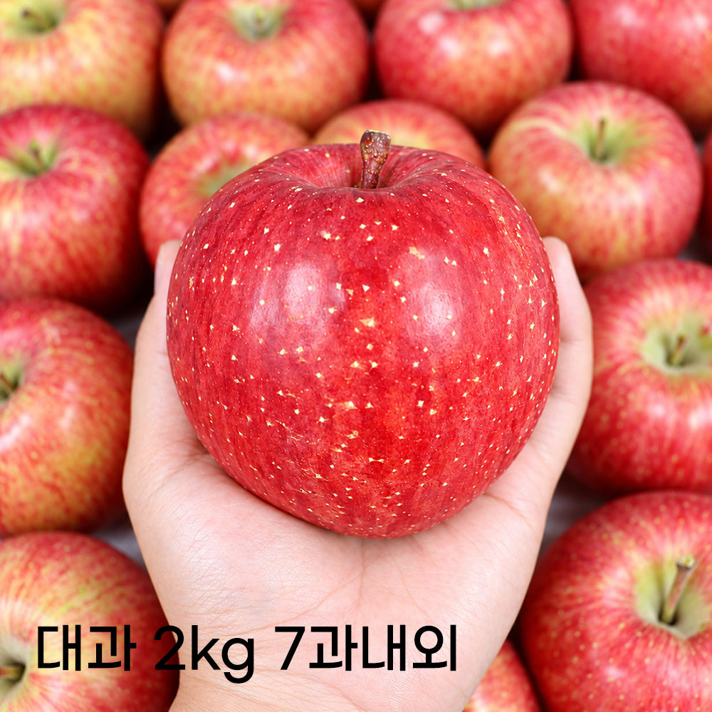 1789538249 thumbnail